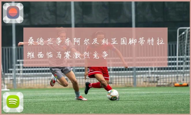 桑德兰争夺阿尔及利亚国脚蒂特拉维面临马赛激烈竞争