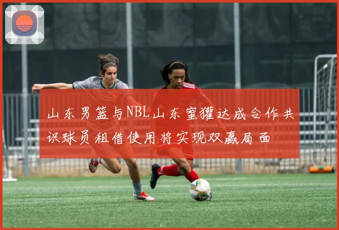 山东男篮与NBL山东蜜獾达成合作共识球员租借使用将实现双赢局面